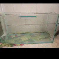 فروش اکواریوم