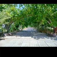 ویلایی-خ-شهناز1طبقه-درب-از-حیاط-75متر2خوابه