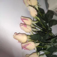 گل رز لمسی مشابه طبیعی