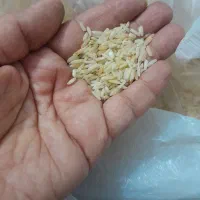 برنج دودی ایرانی اعلا