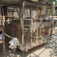 گاری چهار چرخ دستی
