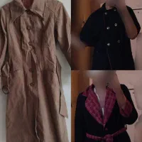 پالتو