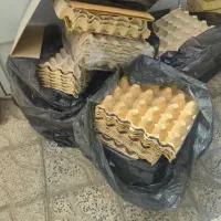 شونه تخم مرغ