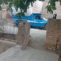 کاه گندم درجه یک.بیا دادا پشیمون نمیشی