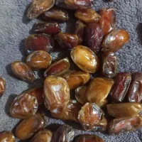 خرما با قیمت عالی و کیفیت مرغوب + ارسال