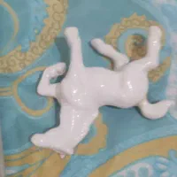 دکوری اسب