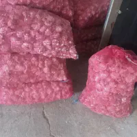 سیر خشک تازه همدان