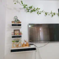 باکس