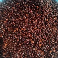 بام کوهی شیرین