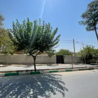 زمین۸۷۰متری/دونبش/تمام تجاری/بر بلوار گلستان حصارک