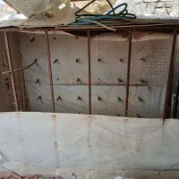 چخ قفس لانه پرنده طوطی کفتر کبوتر