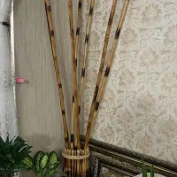 چوب بامبو