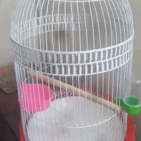 قفس بزرگ گرد