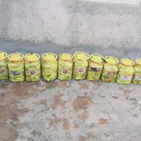 ترشی بیلهر خوشمزه و کاملا بهداشتی