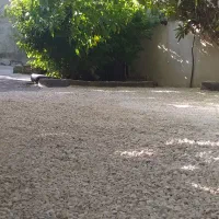 سوئیت اجاره ای