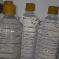 محلول ضد شپش