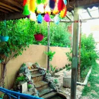 لوبیا چیتی
