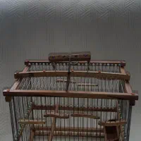 قفس