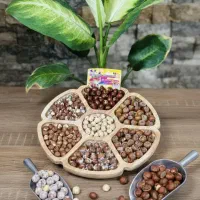 فندق