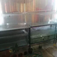 آکواریوم