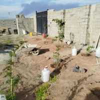 زمین 301متری فروشی