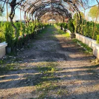 باغبان حرفه ای