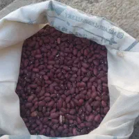 لوبیا قرمز
