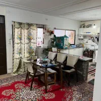 خانم جهت نظافت منزل