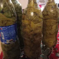 برگ مو برای دلمه مجلسی