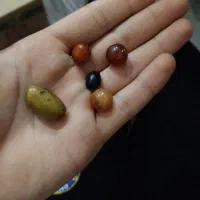 مهره