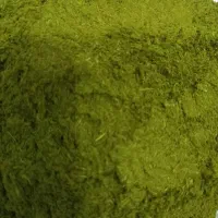 کاکوتی تازه