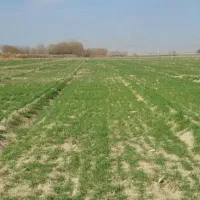 زمین-کشاورزی