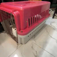باکس حیوانات
