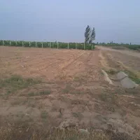 زمین باغی
