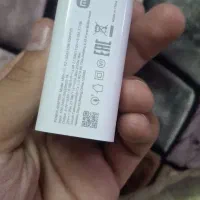 فلش و کلگی شیامی