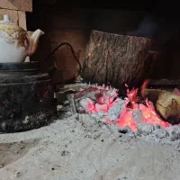 ذغال کبابی