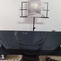 سنتور درحد نو سالم و تمییز،همراه کیف