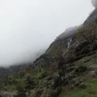 فروش-باغ
