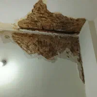 بنایی بنا. رفع نم .تشخیص ترکیدگی. کاشیکار.گچ کار