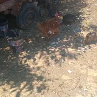 ۴۰۰۰۰۰۰۰۰