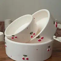 مجموعه ظروف رضوانه