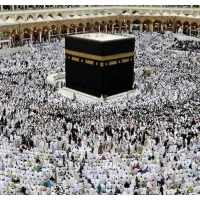 فروش فیش تمتع و عمره