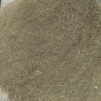 زیره سبز|گل و گیاه طبیعی|ایلخچی, |دیوار