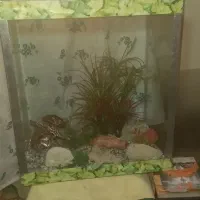 آکواریوم ‌ ‌با‌لوازم‌کاملا‌سالم