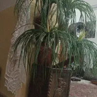 سوییت-اجاره-ای-روزانه-ساعتی-دربست