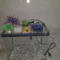 آکواریوم شیشه ای شرکتی نو همراه بالوازم