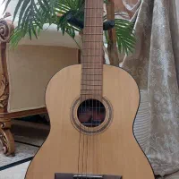 گیتار رویال