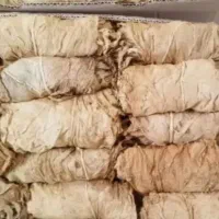 برگ زرد برازجانی جهت سمپاشی درختان ضدکنه