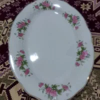 مقداری دیس  گل سرخ  در اندازه های متفاوت