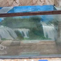 شیشه اکواریوم